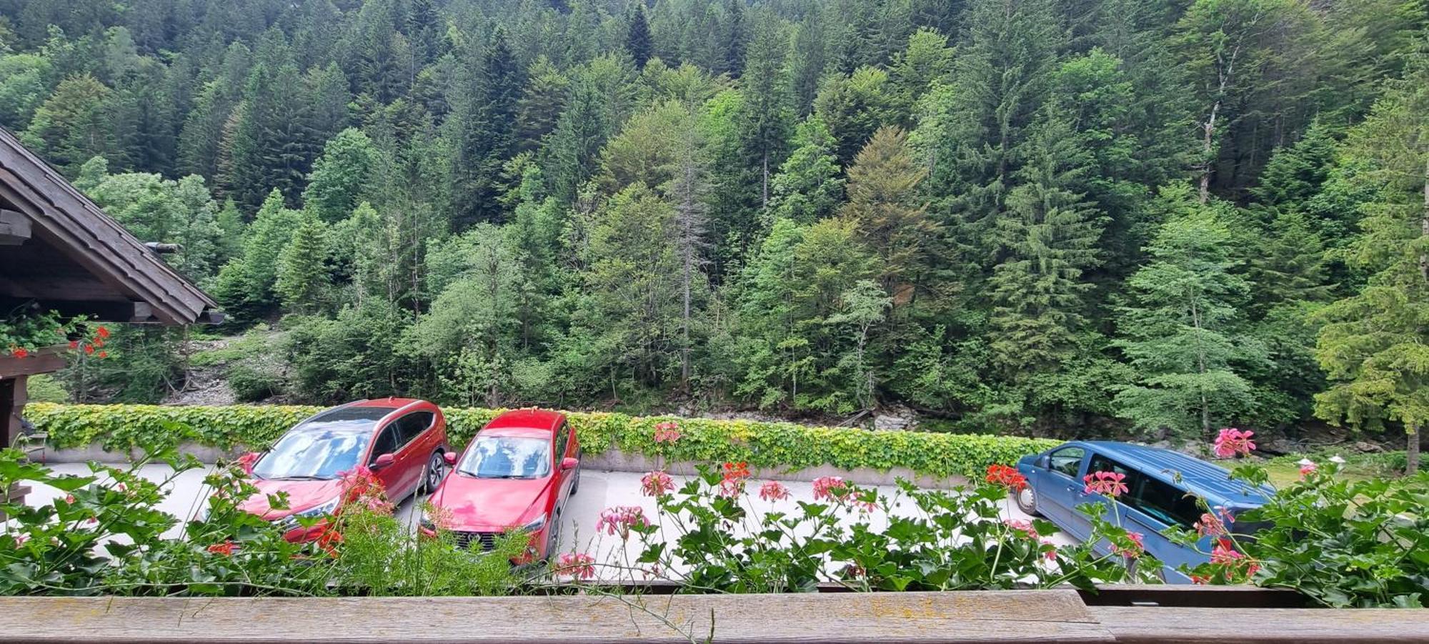 Apartments Pod Macesnovo Streho Solčava Екстериор снимка