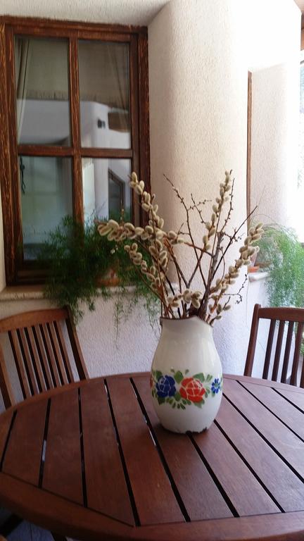 Apartments Pod Macesnovo Streho Solčava Екстериор снимка