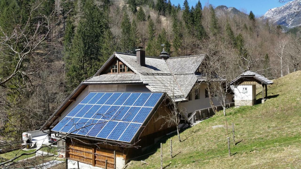 Apartments Pod Macesnovo Streho Solčava Екстериор снимка
