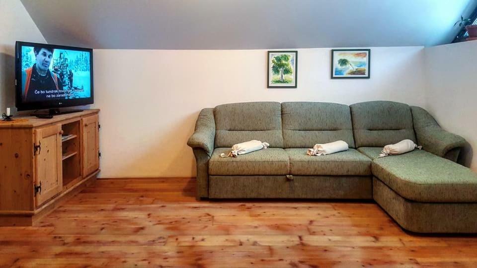 Apartments Pod Macesnovo Streho Solčava Екстериор снимка