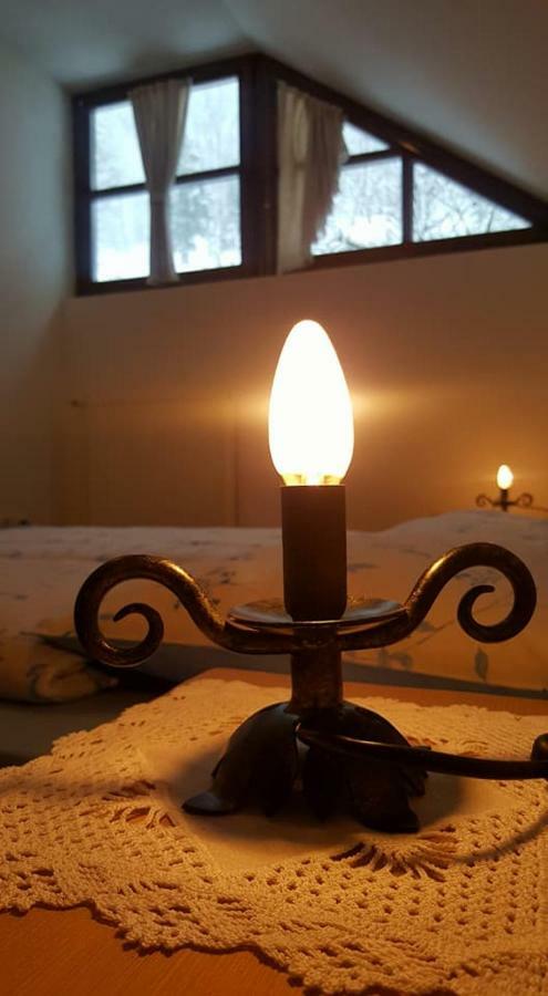 Apartments Pod Macesnovo Streho Solčava Екстериор снимка