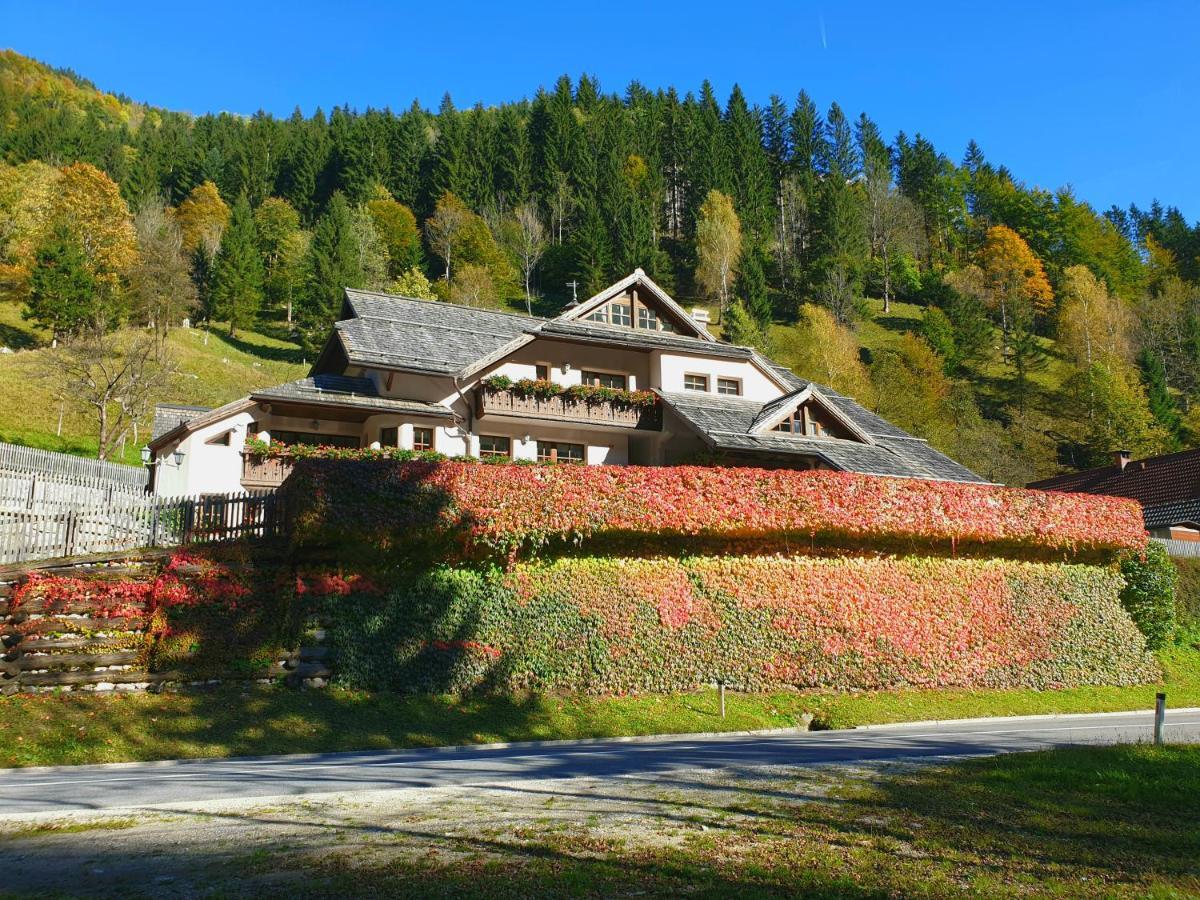 Apartments Pod Macesnovo Streho Solčava Екстериор снимка