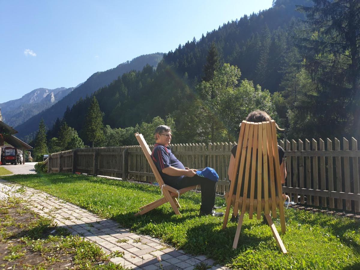 Apartments Pod Macesnovo Streho Solčava Екстериор снимка